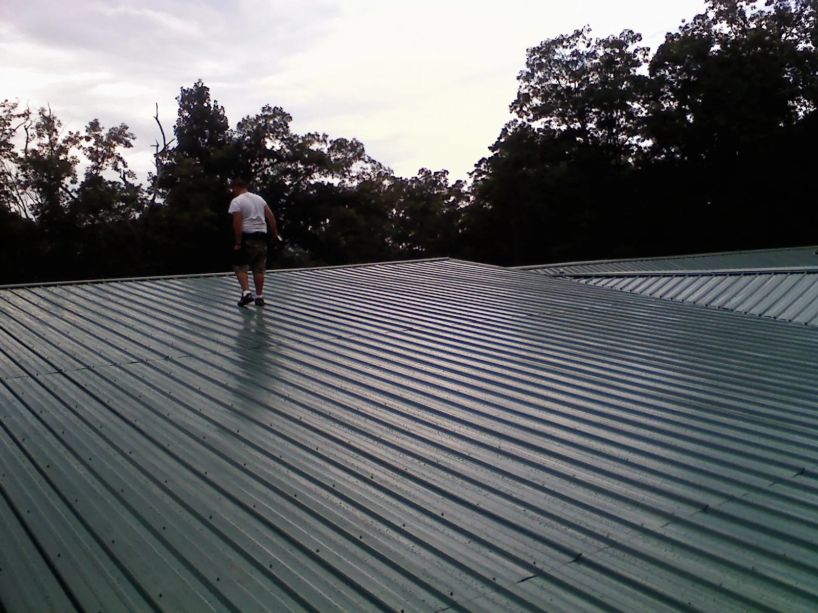 Roofer walking a wide expanse of new green metal roofing in Castalian Springs